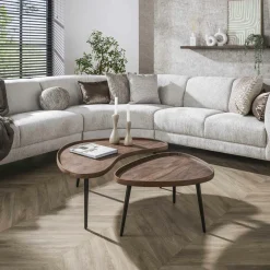 Tables Basses Gigognes|Table basse bois brun forme organique à rebords (x2) NAKO