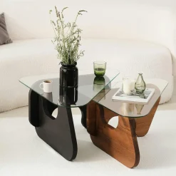 ANZIO Sellettes En Métal|Tables Basses En Verre|Table basse gigogne verre - 2 bois, triangle (lot de 2)