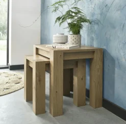 ALTA Sellettes En Métal|Tables Basses Gigognes|Table de salon gigogne (lot de 2)