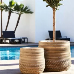 Arizona Vases|Vase verre soufflé et racine teck, artisanal H 15 cm